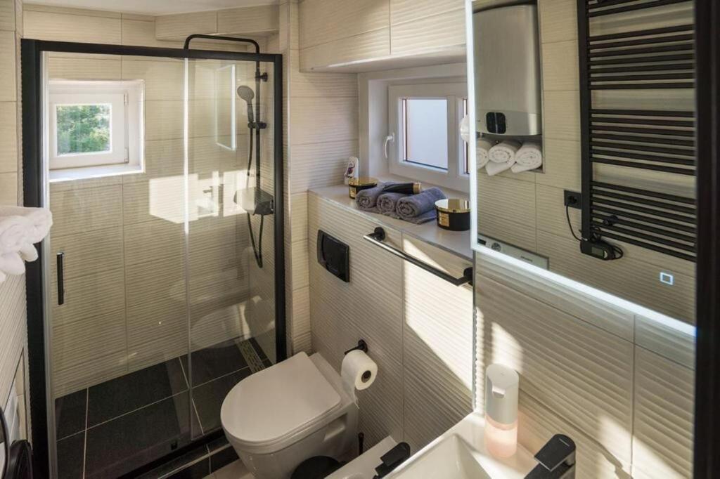Apartment Royal Studio غييكا المظهر الخارجي الصورة